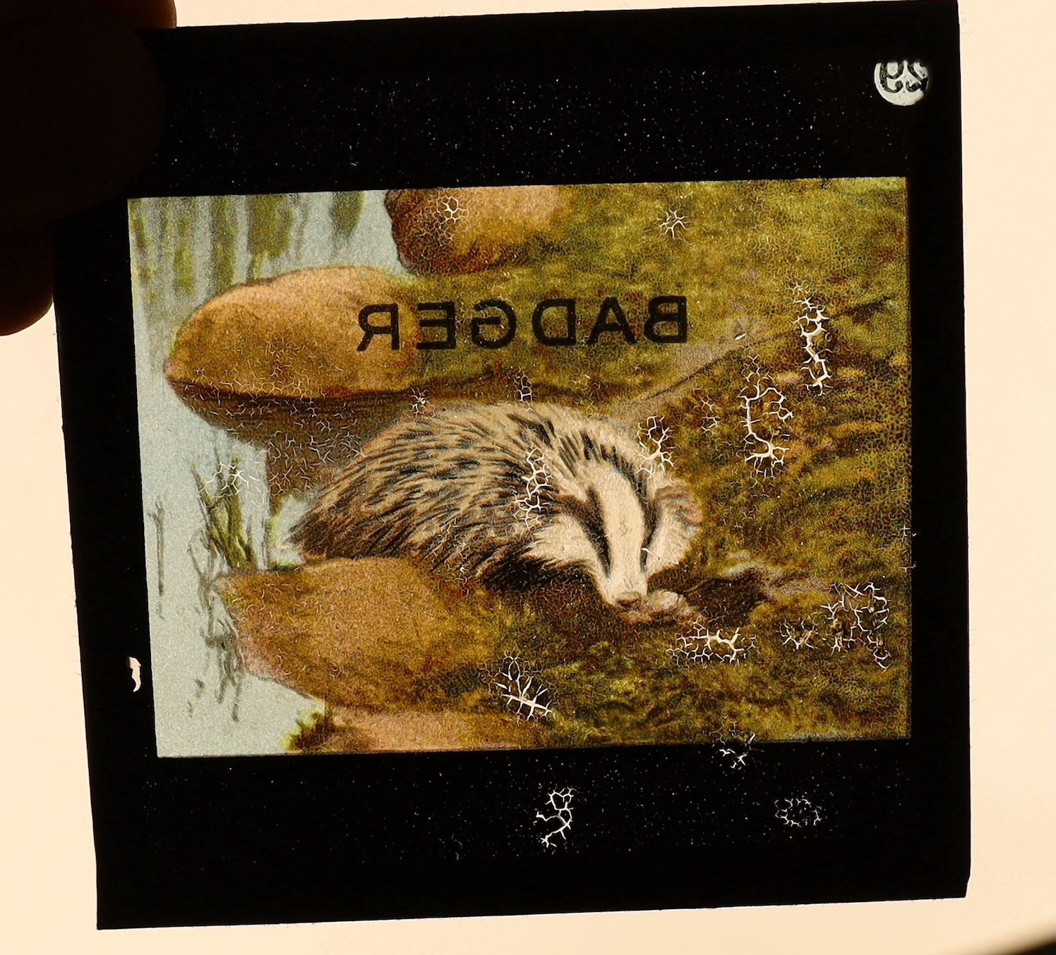 A cased Ensign Optiscope No.5 Magic Lantern projector and slides. Condition - poor-fair